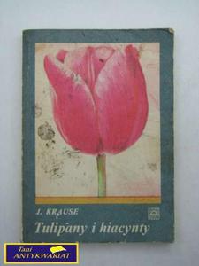 TULIPANY I HIACYNTY J. Krause