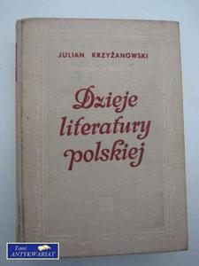 DZIEJE LITERATURY POLSKIEJ - 2822548594