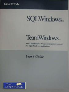 TEAM WINDOWS USER GUIDES - 2822550643