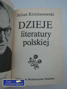 DZIEJE LITERATURY POLSKIEJ - 2822553867