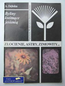 ZOCIENIE, ASTRY, ZIMOWITY - 2858293745