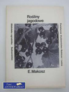 ROLINY JAGODOWE - 2822555809