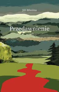 Przedawnienie - 2875010251