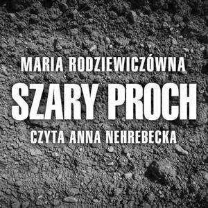 Szary proch - 2860829954