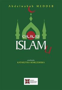 Choroba islamu - 2860833328