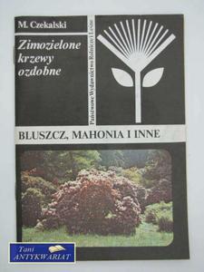 BLUSZCZ, MAHONIA I INNE - 2858294156