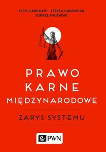 Prawo karne midzynarodowe - 2860841839