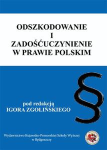 Odszkodowanie i zadouczynienie w prawie polskim - 2860844733