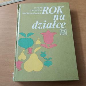 Rok na dziace - 2860850459