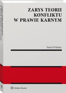 Zarys teorii konfliktu w prawie karnym [PRZEDSPRZEDA] - 2860850738