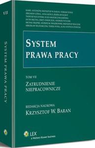 System prawa pracy. TOM VII. Zatrudnienie niepracownicze - 2860856556