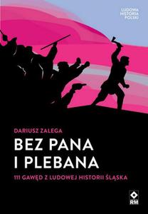 Bez Pana i Plebana - 2860862277