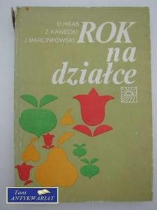 ROK NA DZIACE - 2822560160