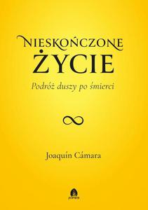 Nieskoczone ycie Podr duszy po mierci - 2866417707