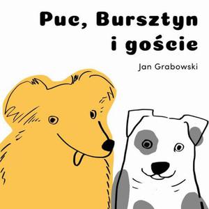 Puc, Bursztyn i gocie - 2868948724