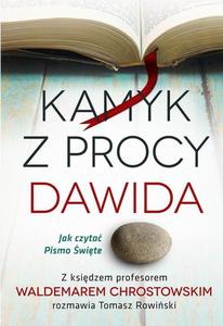 Kamyk z procy Dawida Jak czyta Pismo w. - 2870890952