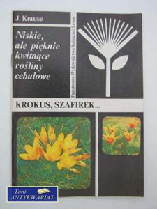 KROKUS, SZAFIREK... - 2822561184