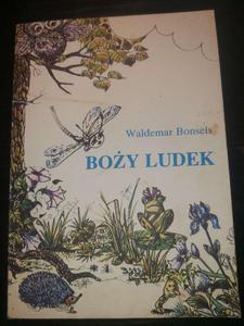 Boy ludek - 2876694999