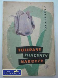 TULIPANY HIACYNTY NARCYZ