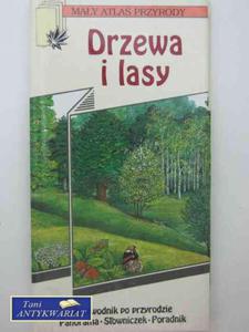 DRZEWA I LASY - 2822566950