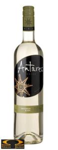 Wino Antares Sauvignon Blanc Chile 0,75l - 2832351898