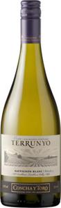 Wino Terrunyo Sauvignon Blanc Chile 0,75l - 2843312427