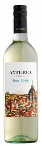 Wino Anterra Pinot Grigio Wochy 0,75l