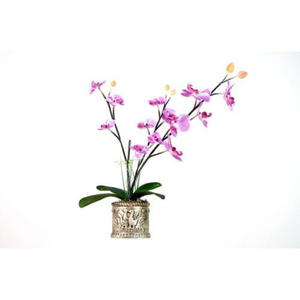 Sztuczny kwiat orchidea 65 cm, kwiaty - 2822820922