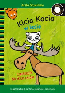 KICIA KOCIA W LESIE ZWIERZTA POLSKICH LASW GOWISKA - 2867276583