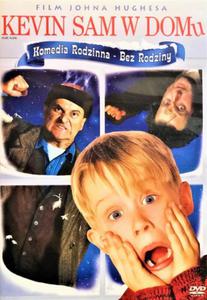 KEVIN SAM DOMU DVD HUGSER CULKIN PESCI STERN - 2867276909