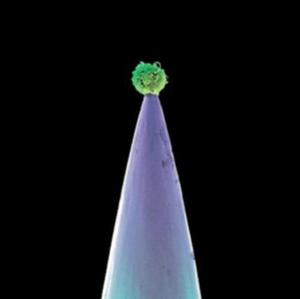 PETER GABRIEL NEW BLOOD DOWNSIDE UP CD NOWA - 2867281857