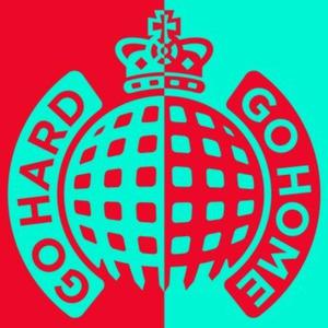 MINISTRY OF SOUND GO HARD OR GO HOME CD NOWA - 2867282507