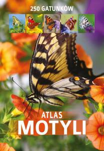 ATLAS MOTYLI KAMILA TWARDOWSKA NOWA - 2868285943