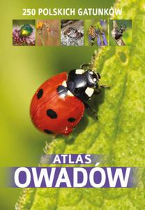 ATLAS OWADW KAMILA TWARDOWSKA NOWA - 2868285944