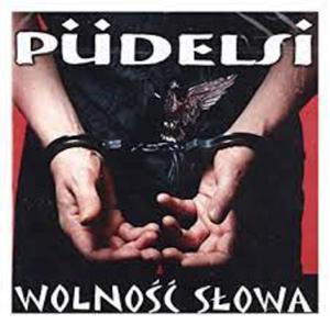 PUDELSI CD WOLNO SOWA HIPIS NIGDY WICEJ - 2869279890