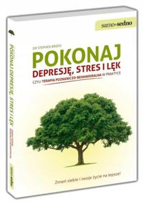 Pokonaj depresj stres i lk Stephen Briers - 2877806237