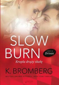 SLOW BURN KROPLA DRY SKA K BROMBERG NOWA - 2877806991