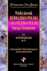 WIELKI SOWNIK HEBRAJSKO-POLSKI I ARAMEJSKO-POLSKI - 2877807420