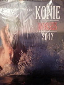 2017 KALENDARZ KONIE.HORSES