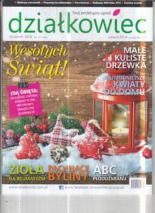 12/2016 DZIAKOWIEC.NAJMODNIEJSZE KWIATY DO DOMU - 2855398717