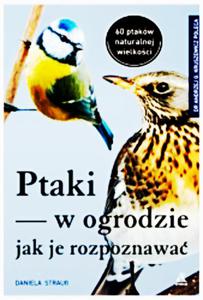 PTAKI W OGRODZIE JAK ROZPOZNAWA DANIELA STRAUB NOWA - 2860124766