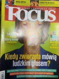 12/2013 FOCUS KIEDY ZWIERZTA MWI LUDZKIM GOSEM - 2860128531