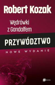 WDRWKI Z GANDALFEM PRZYWDZTWO R KOZAK 248 STR - 2860132354