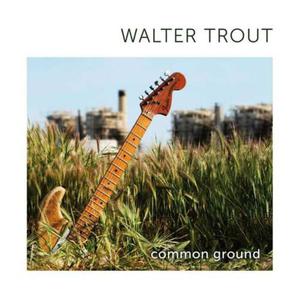 WALTER TROUT CD COMMON GROUND - 2860138390