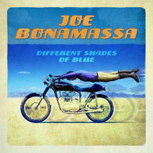 JOE BONAMASSA CD DIFFERENT SHADES OF BLUE - 2860138400