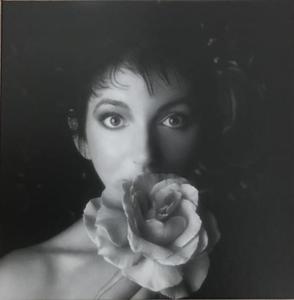 VINYL BOX 2 3 LP KATE BUSH - 2860146248