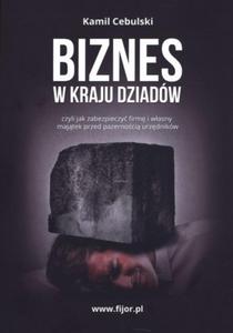 BIZNES W KRAJU DZIADW KAMIL CEBULSKI - 2860148123