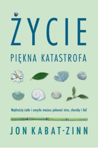 YCIE PIKNA KATASTROFA ROMAN SKRZYPCZAK - 2860149863