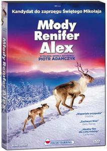 MODY RENIFER ALEX DVD - 2860151179