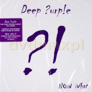 DEEP PURPLE NOW WHAT ?! CD A SIMPLE SONG - 2860155512